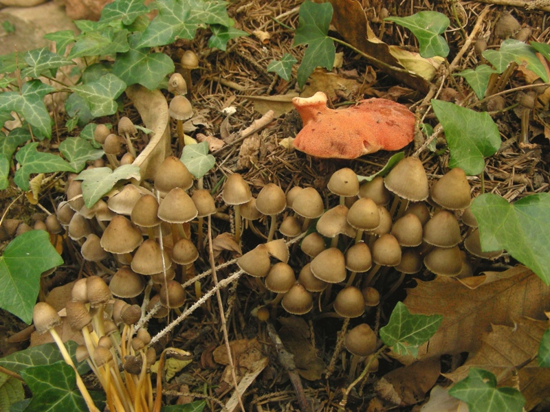 una coppia affiatata